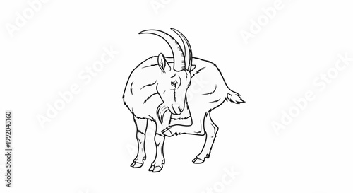 Outline sketch of a goat with impressive horns scratching its face