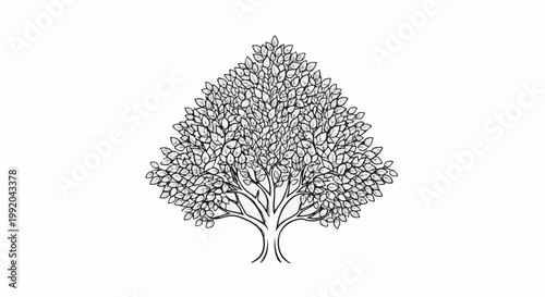 Simple line drawing of a deciduous tree with abundant leaves