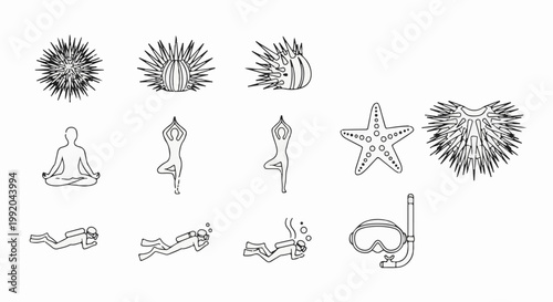 Sea creatures, yoga poses, divers, and snorkeling gear