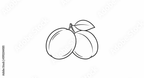 Simple line drawing of two ripe plums with a leaf