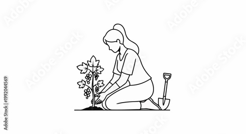 Person kneeling and planting a young grape vine with a shovel nearby