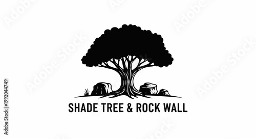 Silhouette of a large shade tree with gnarled roots and boulders at its base