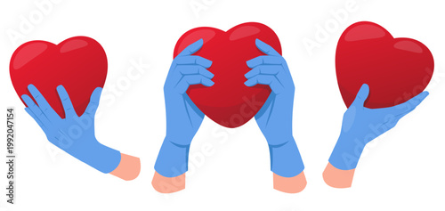 Hands doctor or nurse wearing blue gloves hold red heart. Cardio health. Cardiovascular treatment. Cardiologist arms. Medical diagnostic. Vector concept of medical care and support