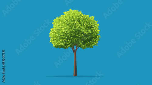 A cartoon tree with a brown trunk and green leaves against a plain, turquoise backdrop