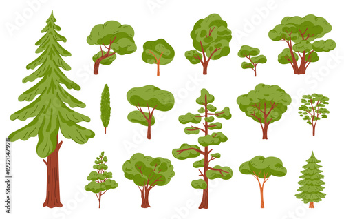 Cartoon green trees. Various types of forest plants. Coniferous and deciduous foliage. Tall and short trunks. Woodland greenery. Pine and cypress. Oak branches. Vector nature elements set