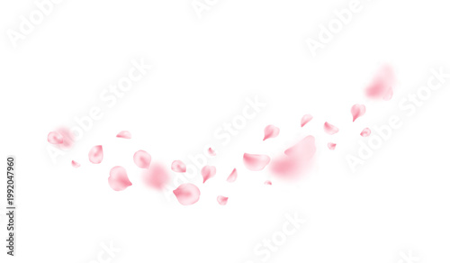 Spring cherry blossom wave. Sakura petal flying composition. Japan flower banner. Cosmetic beauty product. Natural decoration. Spa pink rose bg. Valentine romantic card. Vector illustration
