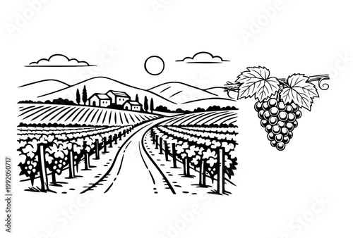 Rural Vineyard Landscape With Rolling Hills, a Village, and a Winding Road Under a Sunny Sky, Alongside a Fresh Cluster of Ripe Grapes and Leaves