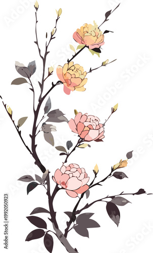 Botanical watercolor illustration of pink white roses flowers in transparent vector, gouache chinese japanese asian painting brush strokes flat drawing art, set collection digital graphic traditional 