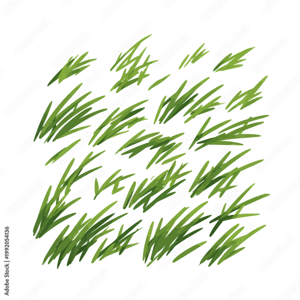 Fototapeta premium Green Grass Blades Isolated Pattern