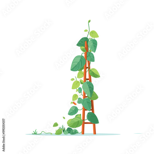 Green vine climbing a garden trellis