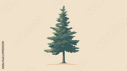 Illustration of a tall evergreen tree with green foliage and a brown trunk, on a beige background