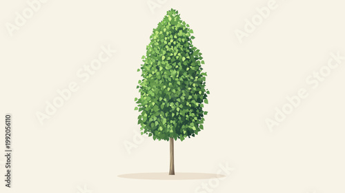 Illustration of a tall, green tree with a brown trunk, on a light beige background