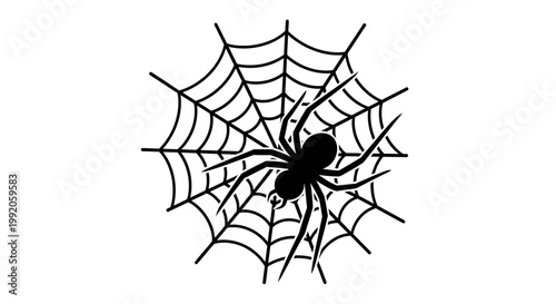 クモが巣の中央に位置し、糸を張った蜘蛛の巣の上にいます。