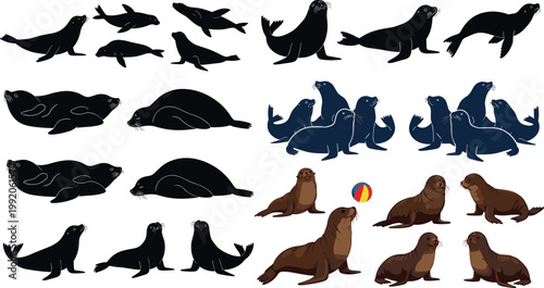 Seal and sea lion collection with silhouettes and cartoon poses marine mammals isolated vector illustration set