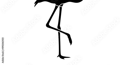 Legs of a large black bird.