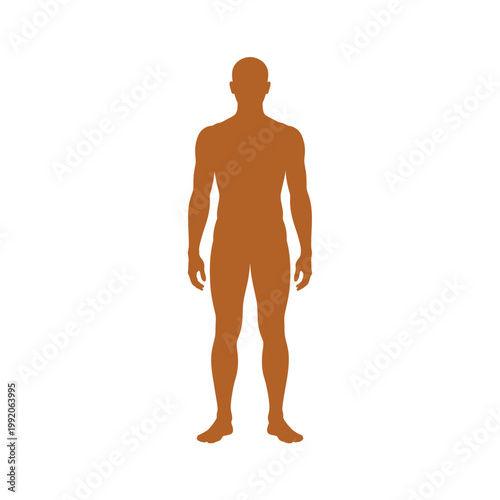 Man silhouette stands in a full body pose for medical or anatomical references.
