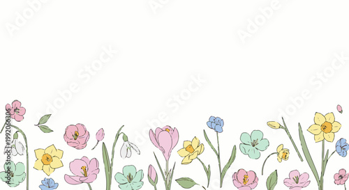 A pastel colored line drawing border of spring flowers, including daffodils, tulips, and snowdrops