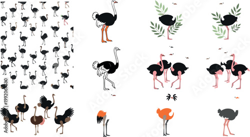 Ostrich bird collection with silhouettes patterns and realistic poses African wildlife animal vector illustration set