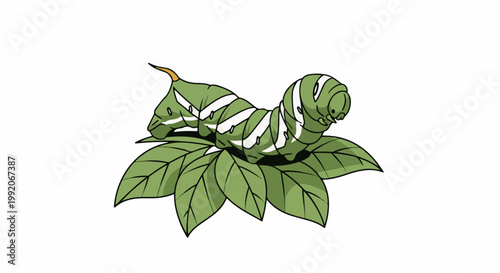 A green caterpillar with white stripes rests on lush green leaves against a white background