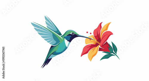 A green hummingbird drinks nectar from a red and yellow flower