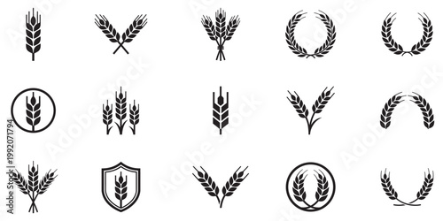 Wheat icon or wheat symbol. Barley spike or corn ear. Bakery, bread or agriculture logo concept. Line grain sign. Vector illustration. Vector Graphic. EPS 10	

