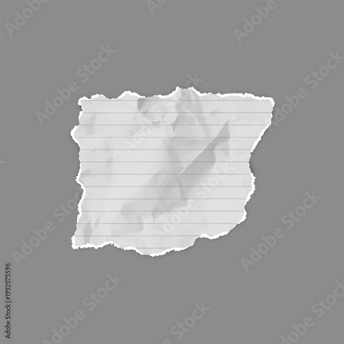A piece of torn white paper, lined, with jagged edges and a wrinkled texture.