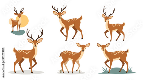 Collection of cute deer characters in different poses including standing and walking for woodland animal themed designs.