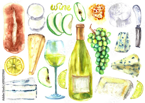 Wine and cheeseboard watercolor illustration. White wine bottle, snack, cheese, fruits, bread, honey. For food and drink background, wine list, party invitation, menu design.