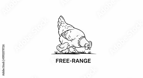 Stylized line art depicts a hen and chick foraging in grass