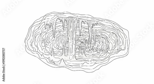 Stylized line drawing of a cave interior with stalactites and stalagmites