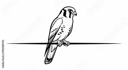 Stylized line drawing of a bird of prey perched on a thin horizontal line