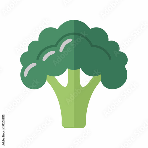 Flat illustration of a green broccoli floret