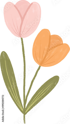 crayon tulip children drawing chalk pencil freestyle playful illustration doodle