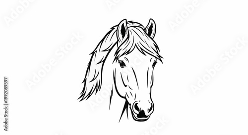 Stylized black and white line art illustration of a horse's head and mane