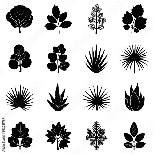 Various plants and leaves are illustrated in black on a white background with cc.ai reference for design.