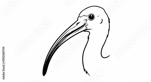 Stylized black and white line drawing of a bird's head with a long beak