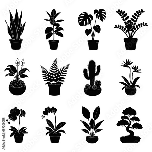 Various potted plants and flowers are arranged on a table indoors for display and decoration purposes.