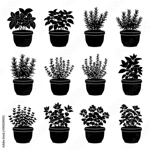 Various plants in pots are arranged on a table for display purposes indoors