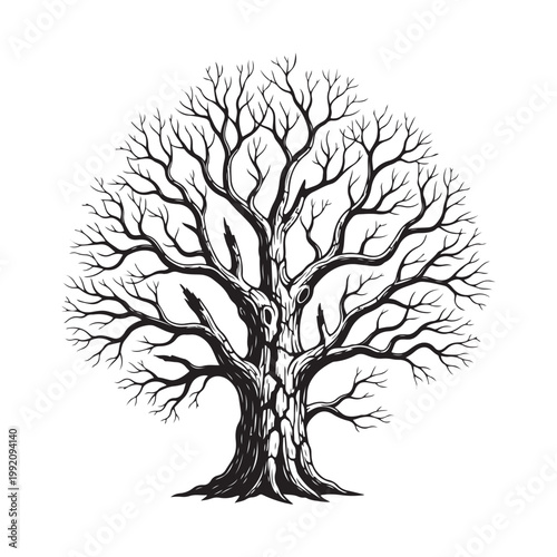 Detailed black and white vector illustration of a bare tree with intricate branches for nature and environmental design