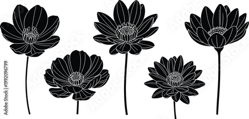 "Stylized black flower silhouettes with white outlines arranged in horizontal line, decorative floral design for art, nature and creative projects"
