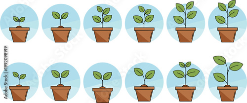 Plant Growth and Development Icon Set with Stages of Growth, Leaf Development, and Pot-Based Plant Growth Concepts