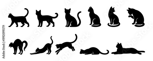 Cat silhouette set, black feline kitty poses collection with sitting walking jumping sleeping grooming stretching cats vector illustration isolated on white background