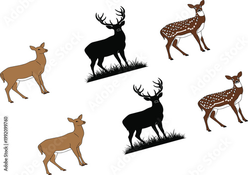 Deer Silhouette and Cartoon Illustration Set with Stag and Fawn Wildlife Characters for Forest Nature Design, Rustic Animal Vector Collection