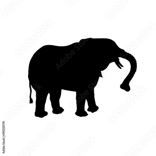 Elephant Silhouette Side View Isolated on White Background