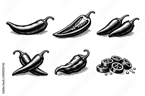 Set of Six Hand-Drawn Chili Pepper Illustrations in a Vintage Monochrome Woodcut Engraving Style Featuring Whole, Halved, and Sliced Spicy Jalapeños for Culinary Design, Menus, and Food Packaging.
