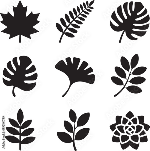 Set of black silhouette tropical and forest leaf icons on white background