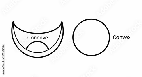 Two geometric shapes, one labeled concave, one labeled convex