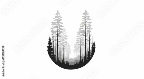 Tall evergreen trees receding into a misty forest, framed by a dark semicircle