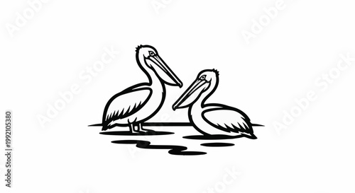 Two pelicans are depicted in a simplified, graphic style on a white background