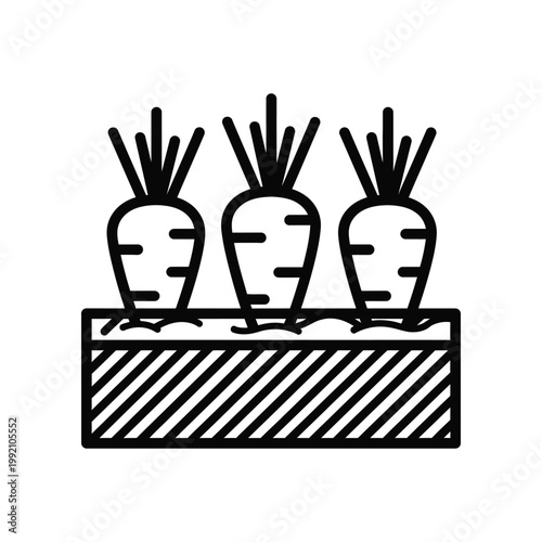 Carrots growing in garden bed vector icon illustration featuring three root vegetables planted in soil for agricultural and organic farming concepts in simple black and white line art design style